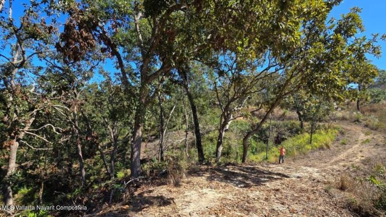 Land in 01 Carretera Tuito - Vallarta  