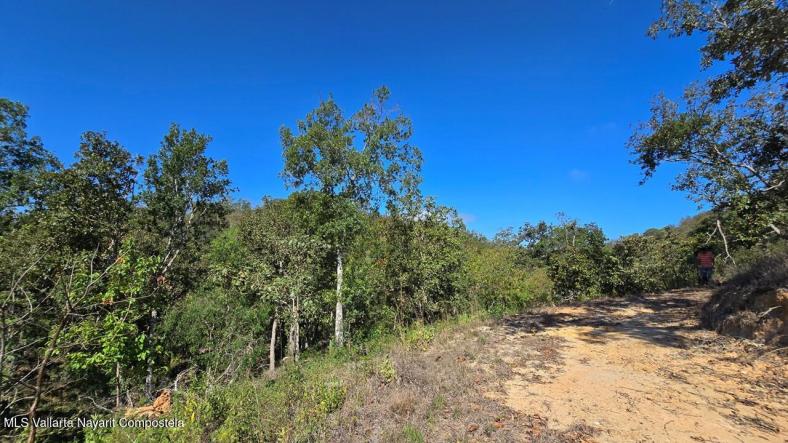 Land in 01 Carretera Tuito - Vallarta  
