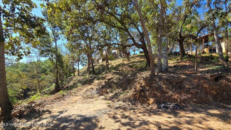 Land in 01 Carretera Tuito - Vallarta  