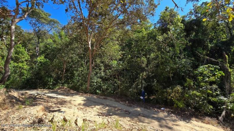 Land in 01 Carretera Tuito - Vallarta  