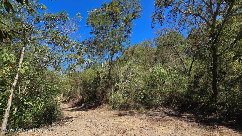 Land in 01 Carretera Tuito - Vallarta  