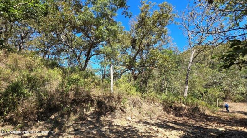 Land in 01 Carretera Tuito - Vallarta  