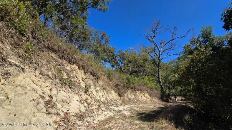 Land in 01 Carretera Tuito - Vallarta  