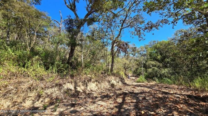 Land in 01 Carretera Tuito - Vallarta  