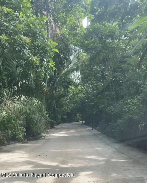 Land in 102 Camino Playa Los Muertos  