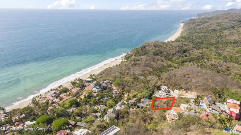 Land in 11 C. Chachalaca  