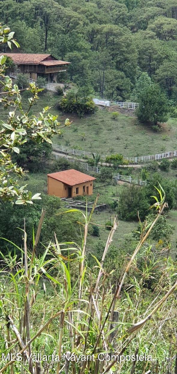 Land in 112 Cuauhtemoc  