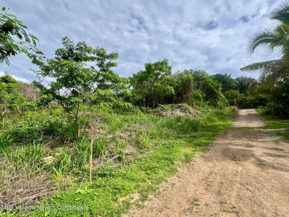 Land in 1376Z 1376Z-10P/1 EJIDO DE SAYULITA  