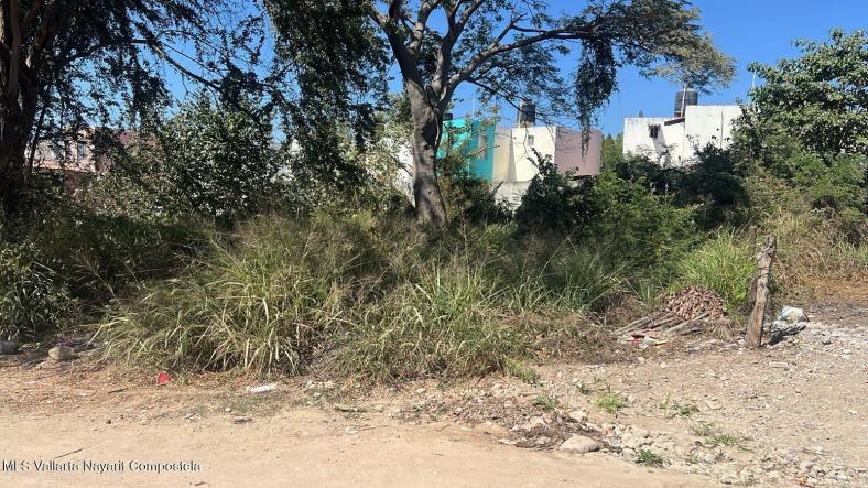 Land in 289 MONTERREY  