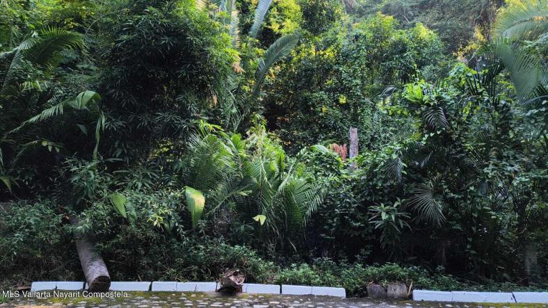 Land in 29 Carretera a Barra de Navidad  