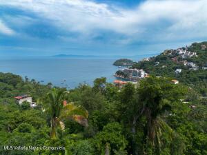 Land in 42 Richard Burton  