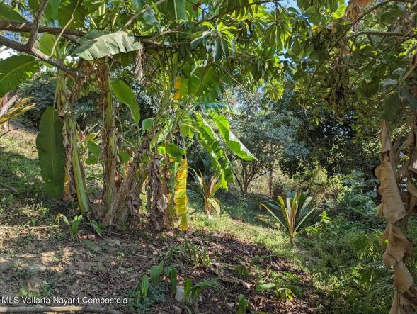 Land in 43 Gabriel Rodriguez  