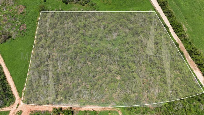 Land in 64 Z1 Main road  