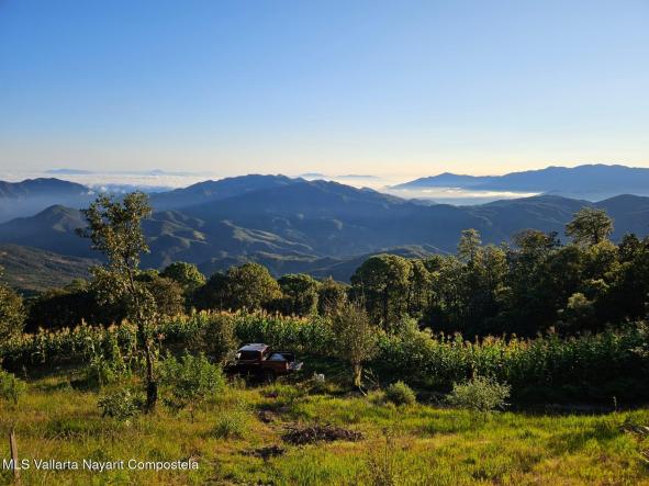 Land in 665 Ermitas o Santa Ana  