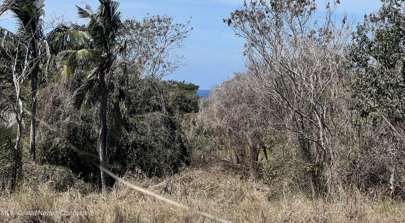 Land in MANZANA 07 PATZCUARO MZ 07 LT 01  