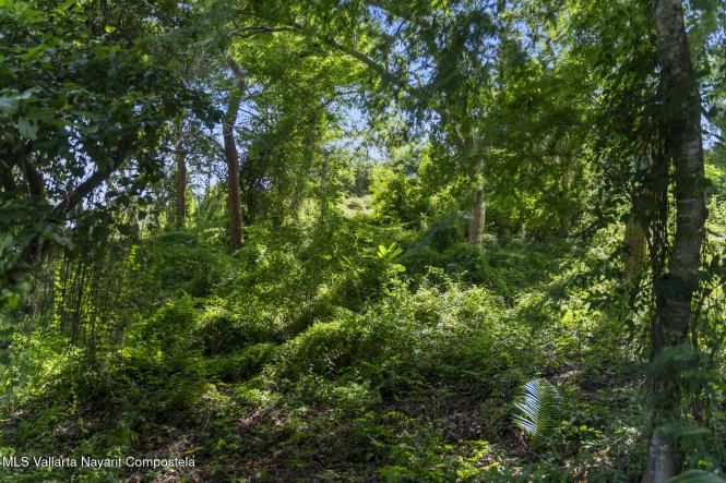 Land in MZ8-LT7 Calle Sin Nombre  