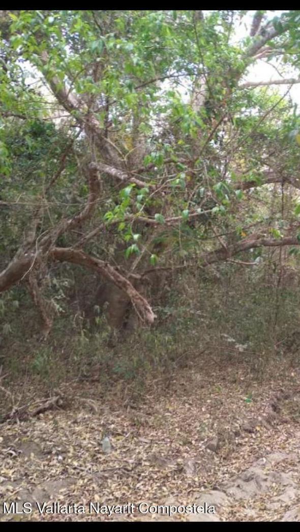 Land in S/N Al sur de Sayulita  