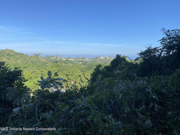 Land in S/N Calle Manuel Plascencia  